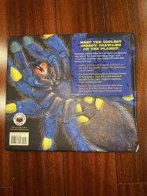 Discovering Bugs 昆虫大发现/百科书籍图书英文原版