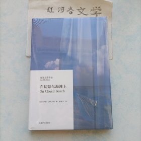 麦克尤恩作品系列:在切瑟尔海滩上