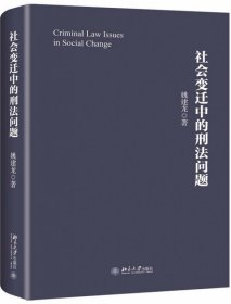 社会变迁中的刑法问题