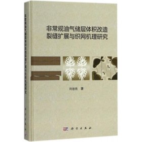 正版书非常规油气储层体积改造裂缝扩展与织网机理研究