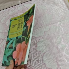 常见藤本植物图谱