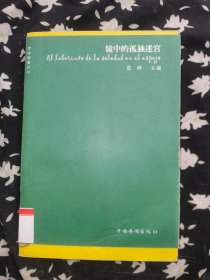 镜中的孤独迷宫：文学偏锋系列 一版一印