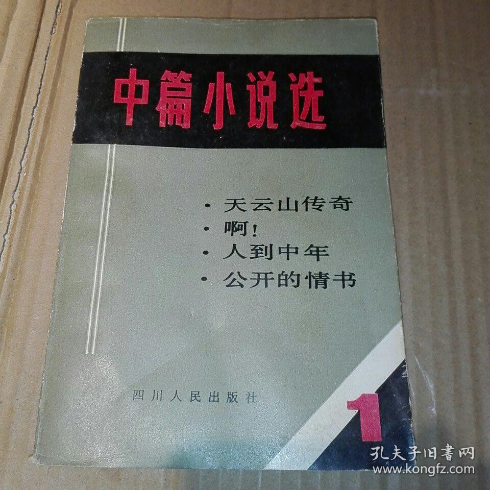 中篇小说选1