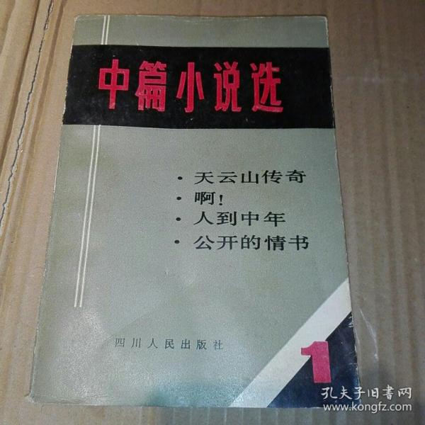 中篇小说选1