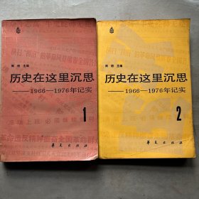 历史在这里沉思 ：1966—1976年记实