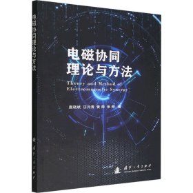 电磁协同理论与方法