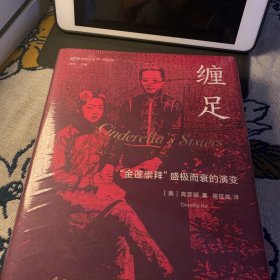 海外中国研究·缠足：“金莲崇拜”盛极而衰的演变（古代女性研究著作。美国历史学会琼·凯利妇女史著作奖获奖作品。李银河、毕向阳等诚意推荐。）