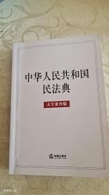 中华人民共和国民法典（大字条旨版）2020年6月