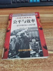 公平与效率-当代中国的收入分配问题