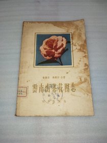 云南山茶花图志（馆藏）