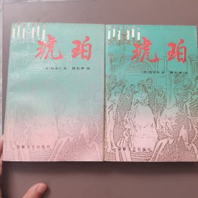 琥珀上下册