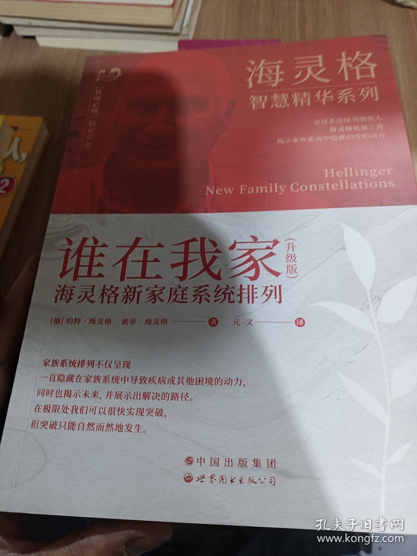 谁在我家：海灵格新家庭系统排列