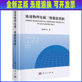 地球物理电磁三维数值模拟