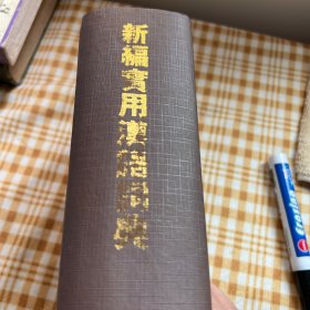 新编实用汉语词典