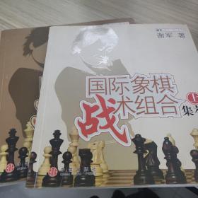 国际象棋战术组合集萃（上下）