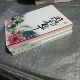 国色芳华 上中下