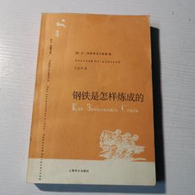 钢铁是怎样炼成的（译文名著文库037）