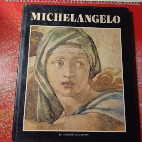 MICHELANGELO