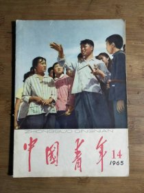 ●怀旧青年第一刊:血染三条石《中国青年》资本家的欺骗宣传【1965年第14期16开】！