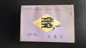 大埋伏：拉丁美洲文学丛书
