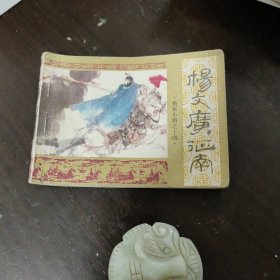 杨文广征南