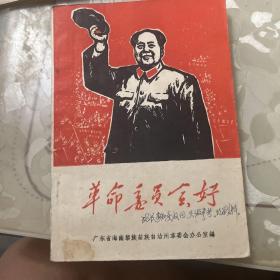 革命委员会好