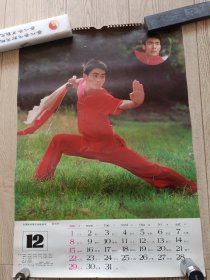 挂历宣传画武术男子全能冠军赵长军一张