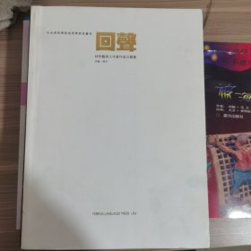 中央美术学院造型学院油画系：【回声 材料艺术工作室作品文献集】