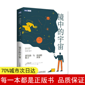 镜中的宇宙消失的粒子与幸存的世界