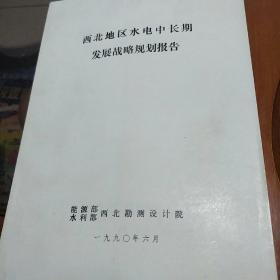 西北地区水电中长期发展战略规划报告