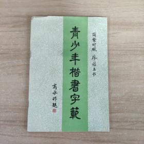 青少年楷书字范