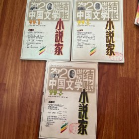 小说家 杂志 大型文学双月刊 1999年1、2、3期三本合售