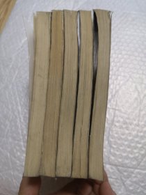 魔面情侠：剑亭绮情经典武侠系列 全五册