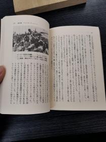 日语原版 莫桑比克真相