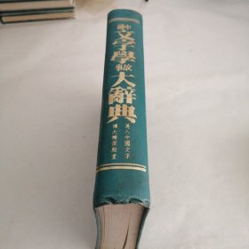 中国文字学故事大辞典