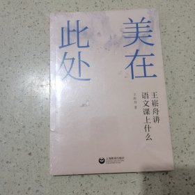 美在此处——王崧舟讲语文课上什么（未开封）