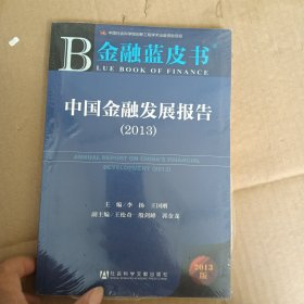 中国金融发展报告2013