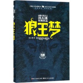 动物小说大王沈石溪经典作品·荣誉珍藏版：狼王梦