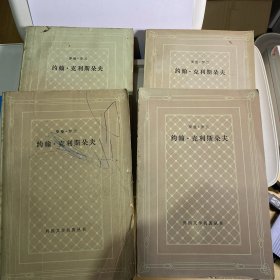 约翰·克利斯朵夫（共四册）