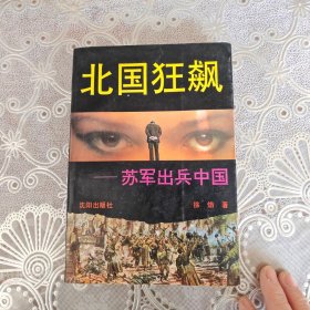 北国狂飙:苏军出兵中国