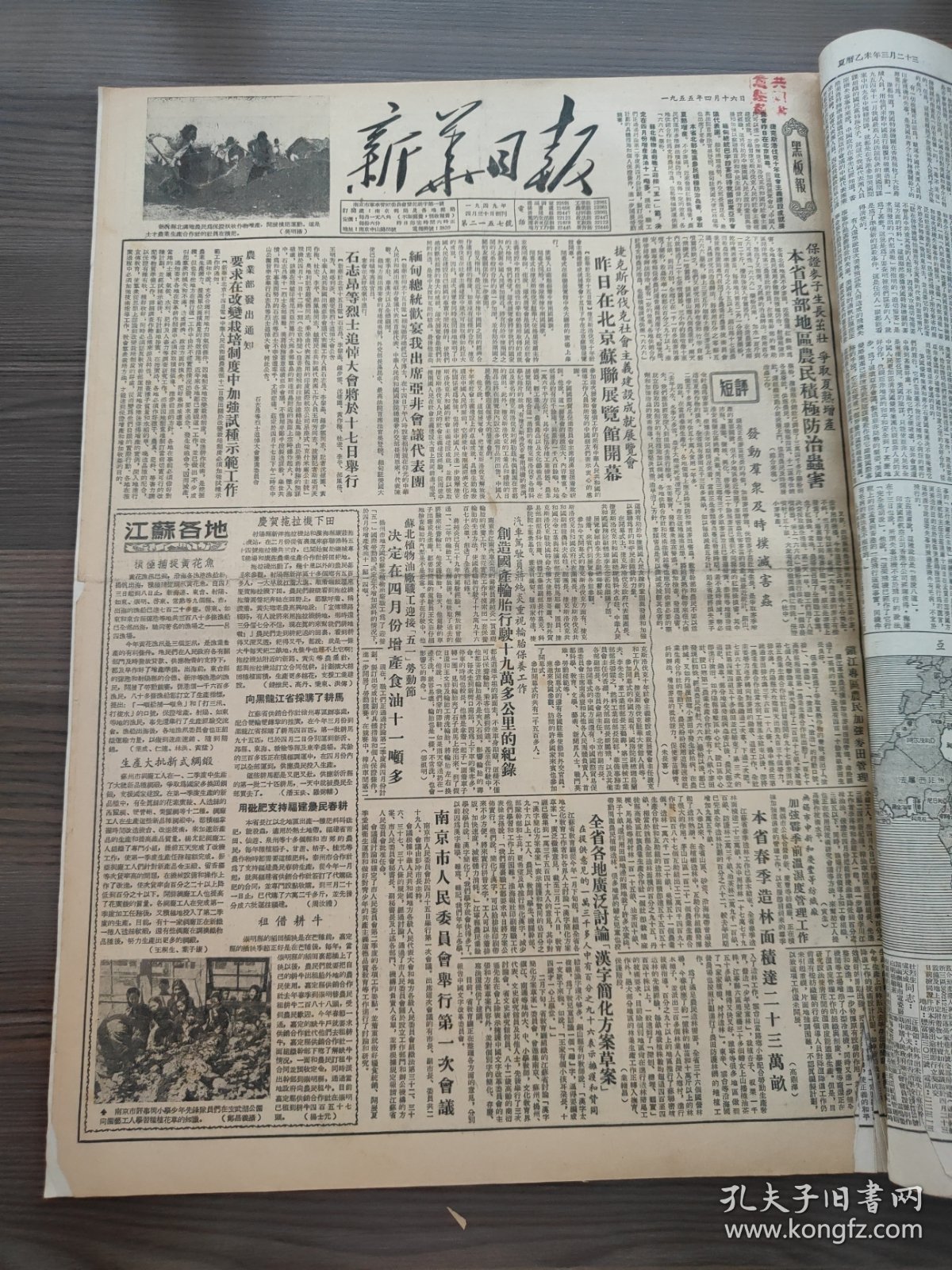 新华日报1955年4月16日石志昂等烈士追悼大会将于17日举行，苏北植物油厂职工，汽车驾驶员蒋纯炎，南京市人民委员会举行第一次会议，松江县，青年技术员徐曹荣
