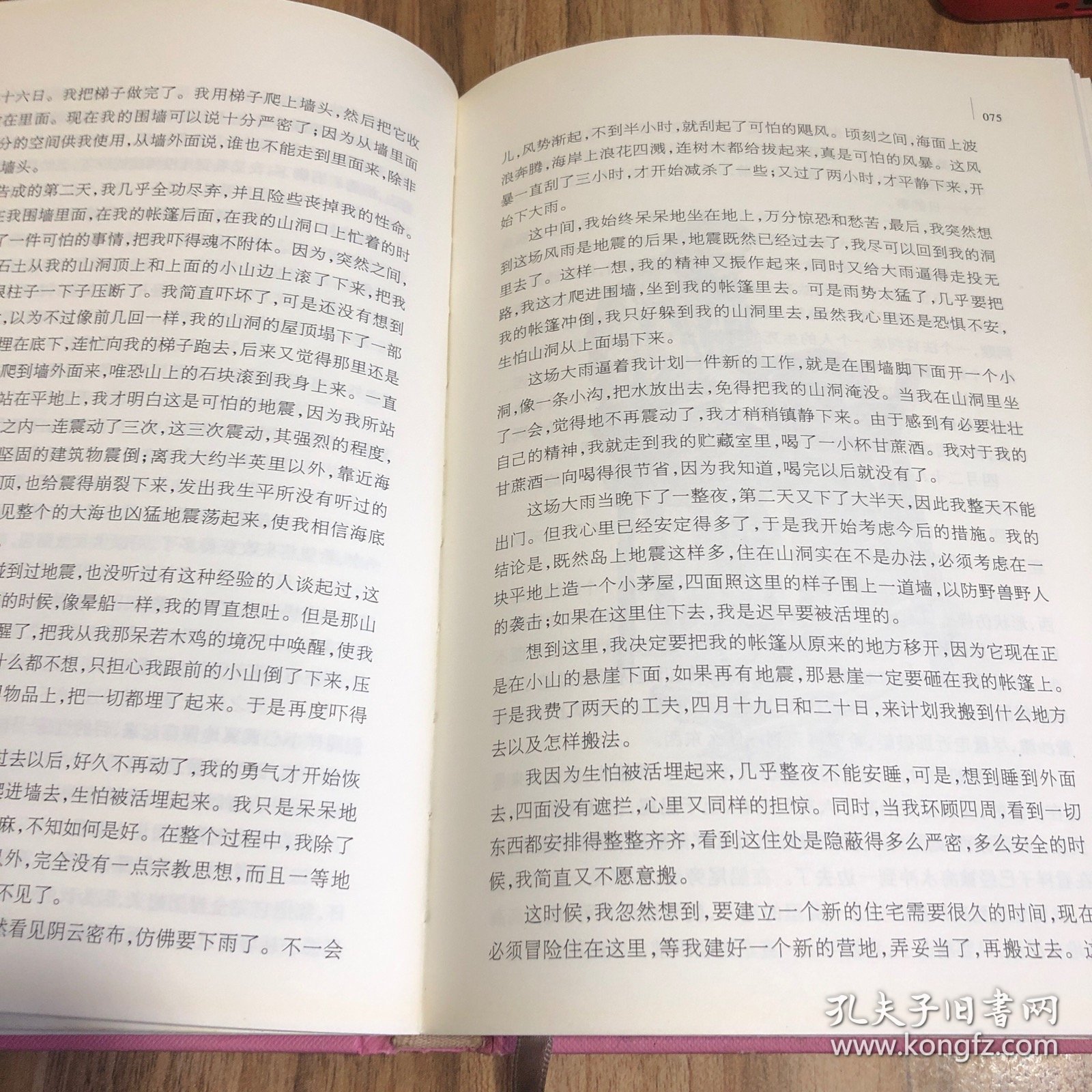 名著名译丛书 鲁滨孙飘流记