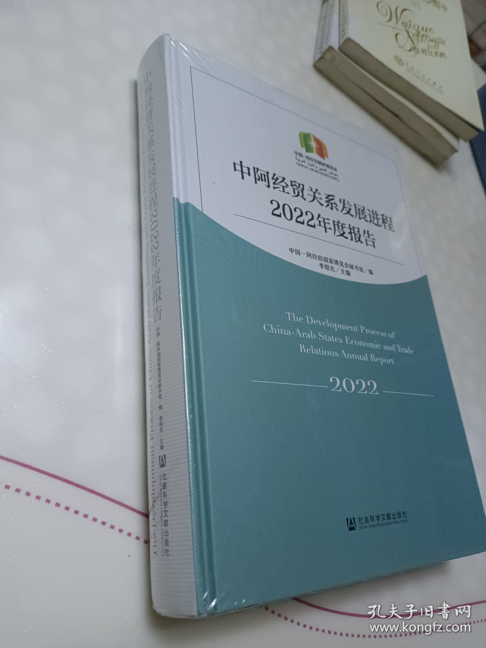 中阿经贸关系发展进程2022年度报告