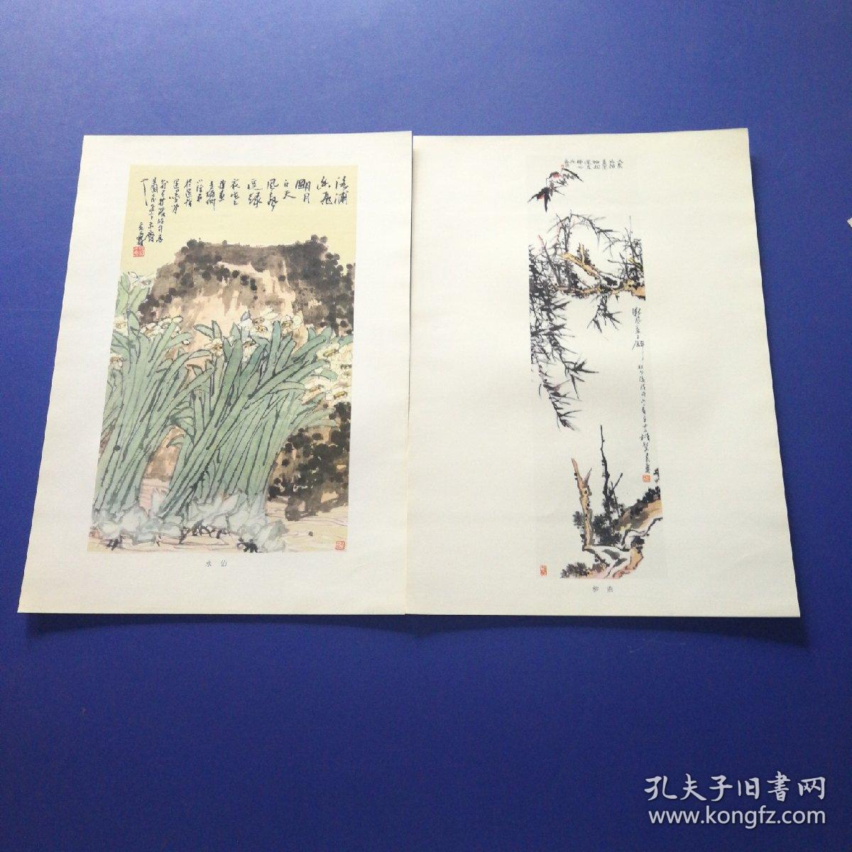 潘天寿画选 （ 1979一版一印，8开带涵套20张全套，实物拍图，涵套有破损如图，内20张画好品）