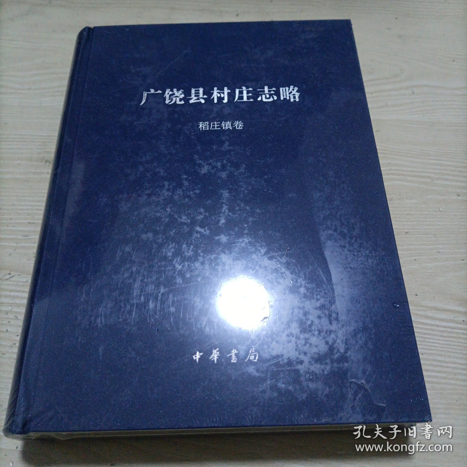 广饶县村庄志略：稻庄镇卷
