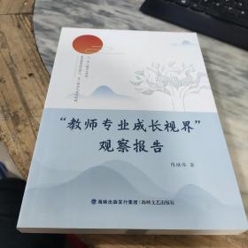 教师专业成长视界观察报告