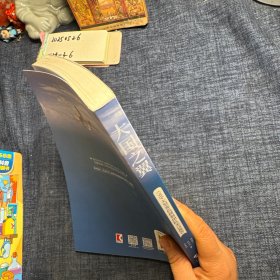 大国之翼
