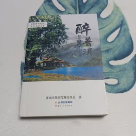 普洱旅游系列丛书·普洱·绿色之旅：醉普洱 普洱经典人文地理