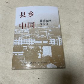 县乡中国：县域治理现代化