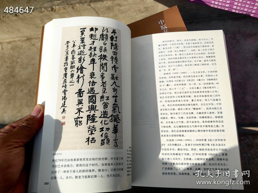 20世纪中国书法通论 周俊杰著。原价120～～特价60包邮 9号狗院（库存12）9787540138066